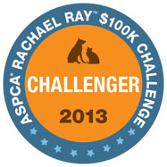 challenger